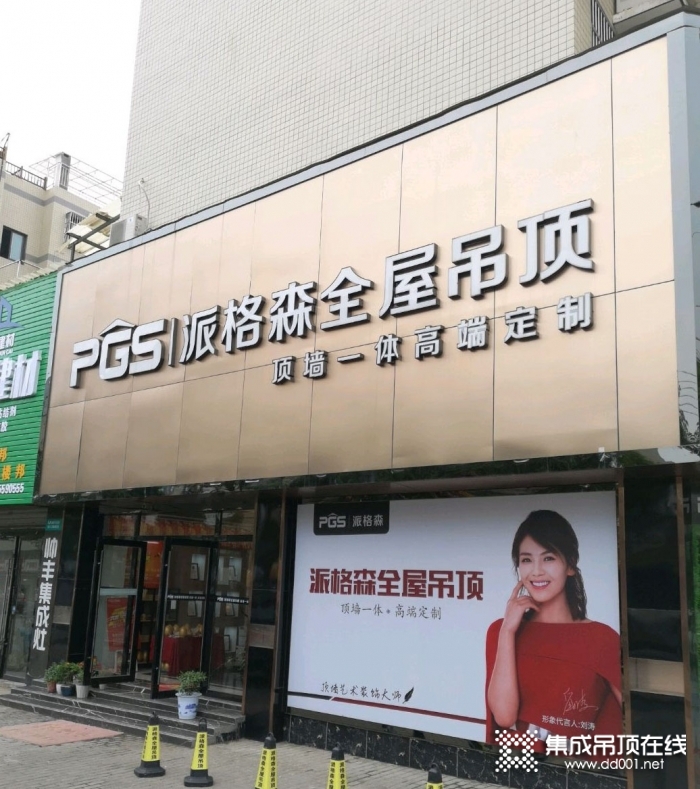 派格森全屋吊馬鞍山花山區(qū)專賣店