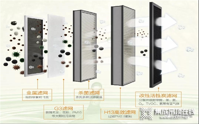 楚楚“風(fēng)魔一號(hào)”，讓你向森林有氧呼吸更近一步