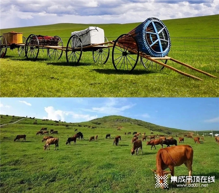 蒙古旅游，值得你來 | 品格送我去旅游啦！