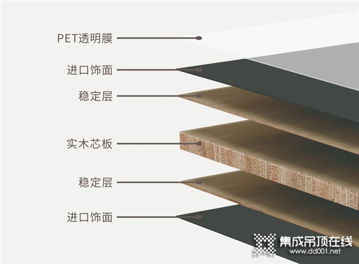 兔寶寶告訴你如何在裝修中省錢避坑？